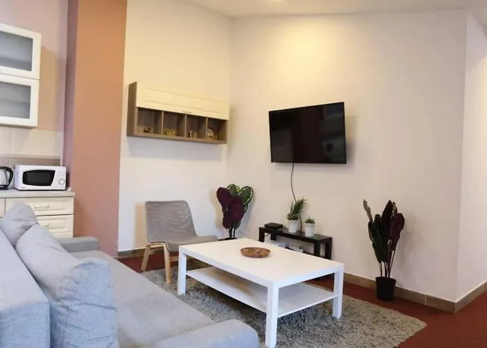 Belgrade Center Apartment Nusiceva