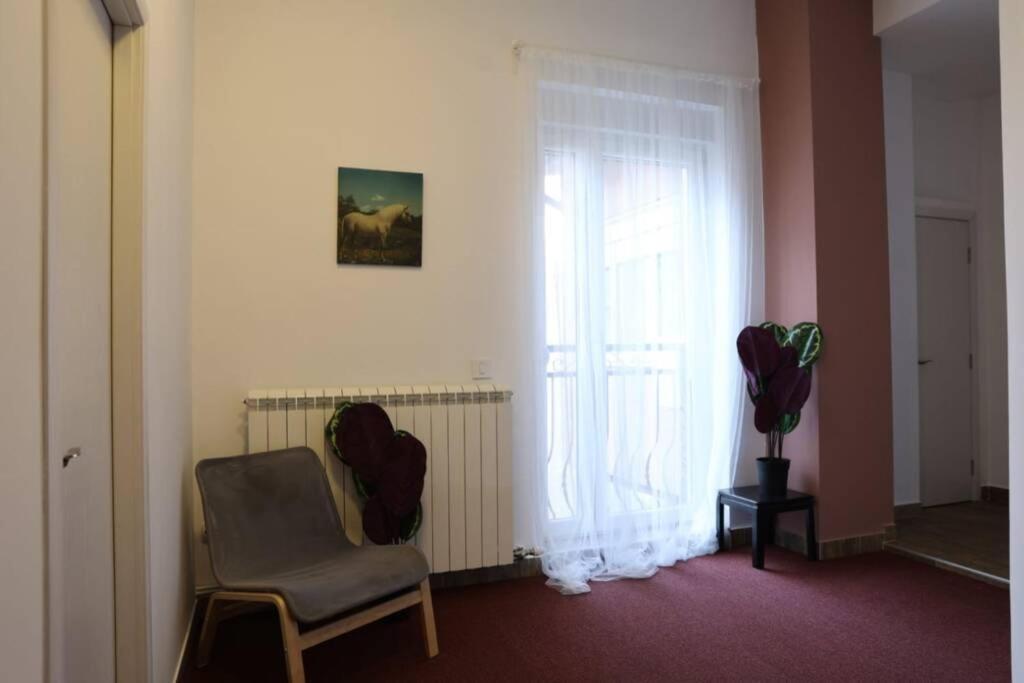 Апартаменты Center Nusiceva Белград