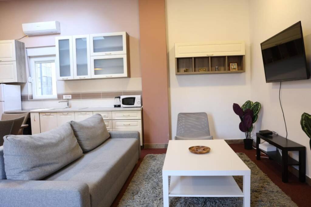 Apartament Center Nusiceva